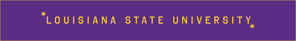 LSU - Dresses & Skirts