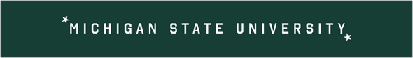 Michigan State - Accessories