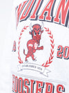 Indiana University - Special Edition Vintage Crewneck Sweatshirt - Ash Grey